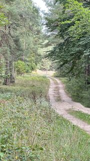 Foto von DraussenZuHause_66 entlang der Tour