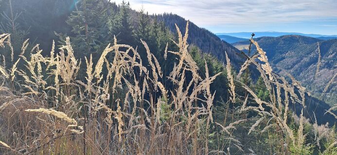 Foto von Michaela Reiter 1 entlang der Tour