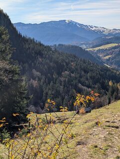 Fotografia z Pfefferam na trase