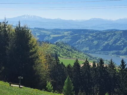 Foto de Bellou a lo largo del recorrido