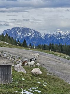 Foto von Holm Trittel entlang der Tour