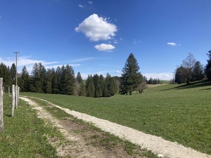 Photo de Diff Heinrich le long du parcours
