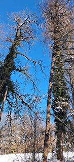 Fotografie z Buchegger Barbara na trase