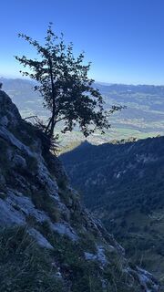 Foto von Mountain Cat ? ⛰️ entlang der Tour