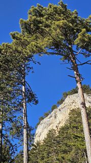 Foto von Klaus Wolfinger entlang der Tour