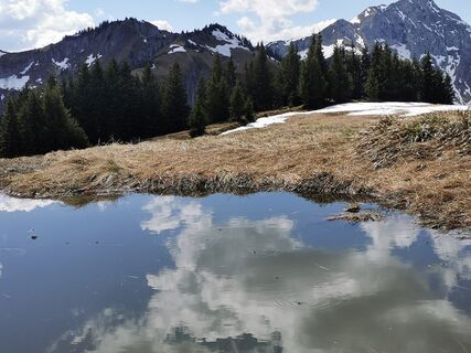 Fotografija s spletne strani Steinbock na poti