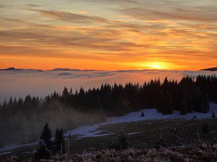 Foto von TwilightTea entlang der Tour