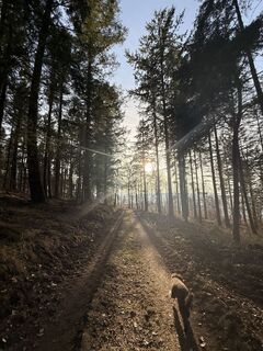 Fotografija s spletne strani Wladimir Zenner na poti