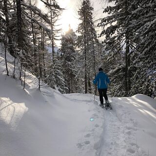 Waldegga