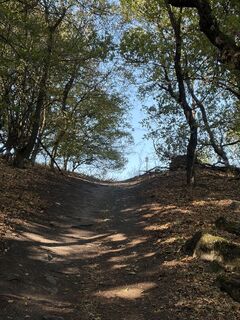 Foto von KryssKross entlang der Tour