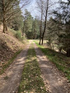 Foto von Kristina 1 entlang der Tour
