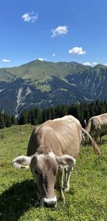 Photo de Norbert le long du parcours