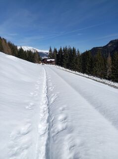 Foto de Rudolf Pult a lo largo del recorrido