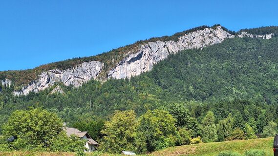 Photo de Susi le long du parcours