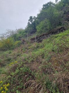 Photo de Volker Wagener le long du parcours