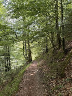 Foto von Margot Koll entlang der Tour