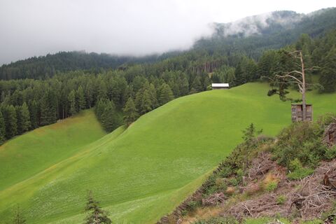 Foto de Günter Kleutsch a lo largo del recorrido