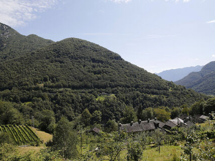 Via delle Vose