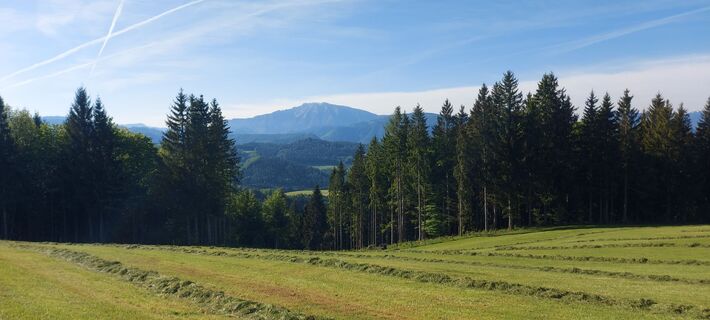 Foto von Klaus Gruber 3 entlang der Tour