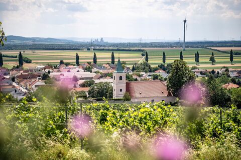 Blick auf Stixneusiedl