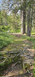 Zdjęcie z Johann Schallinger wzdłuż trasy