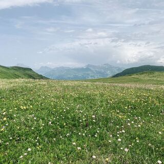 Unterhalb Arflinafurgga mit Blick auf Rätikonkette
