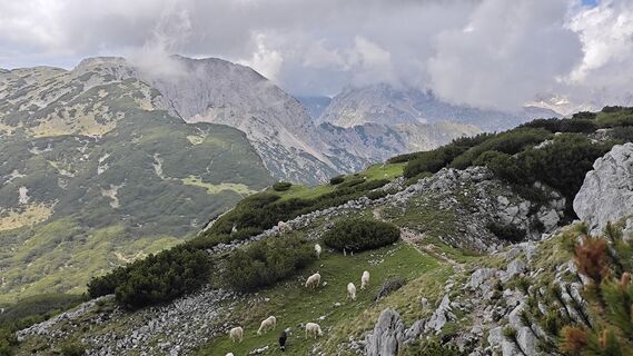 Fotografija s spletne strani Franca Škarja na poti