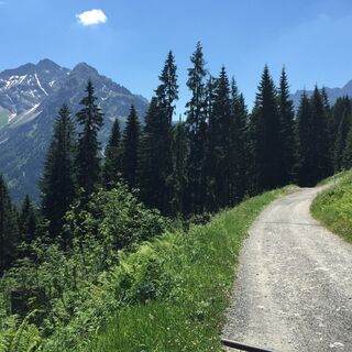 Oberer Höhenweg