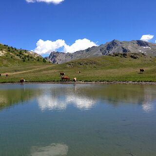 Gibidumsee.