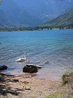 Foto von Edith K. entlang der Tour