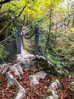 Seilbrücke im grünen Wald über der Schlucht