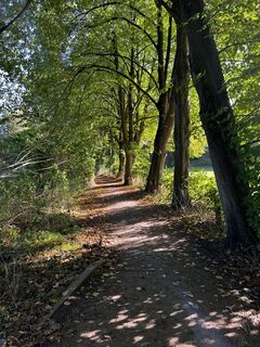 Foto von Marcel entlang der Tour