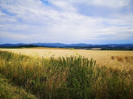 Foto från roxana62 under resans gång