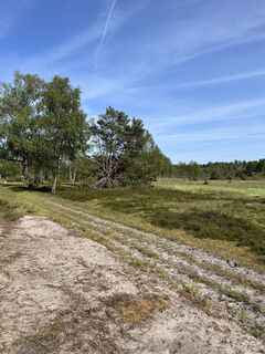 Foto von Anja Meyer entlang der Tour