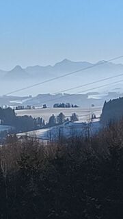 Foto de Schmidi a lo largo del recorrido