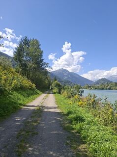 Foto von Mangolein entlang der Tour