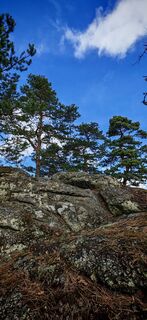 Foto von ReginaSt entlang der Tour