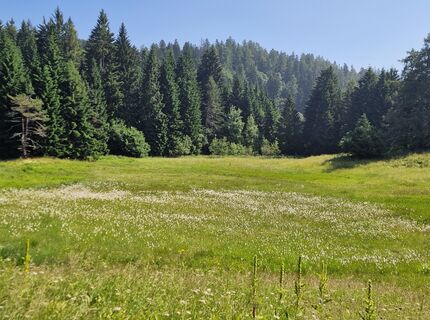 Photo de Mario Augustini le long du parcours