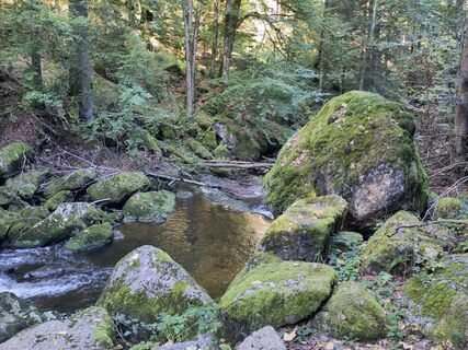 Fotografie z Manuel_74 na trase