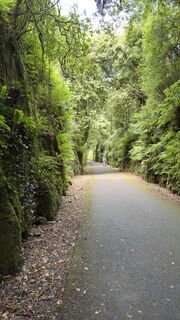 Foto von Peter Burki entlang der Tour