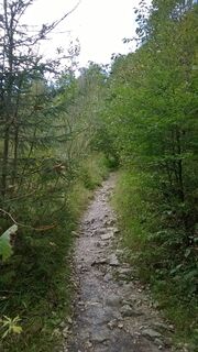 Wanderweg am Bach