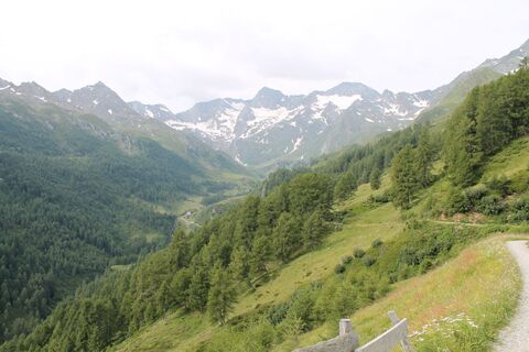 Zemljevid