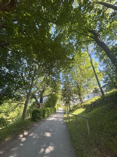 Fotó a RS76 honlapról a túra során