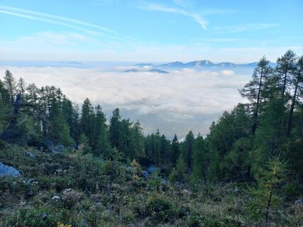 Nebelmeer