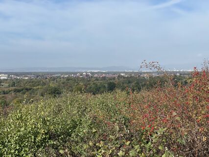 Foto von lotharkoerner entlang der Tour