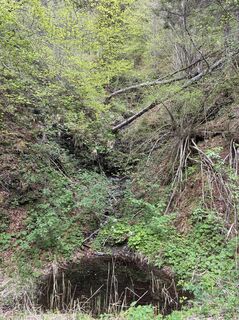 Photo de Paul Dollinger le long du parcours