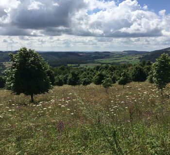 Bei Bosenbach