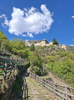 Foto de Anja Eiblmaier a lo largo del recorrido