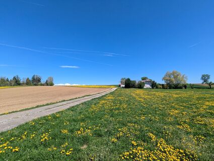 Foto de H&M a lo largo del recorrido