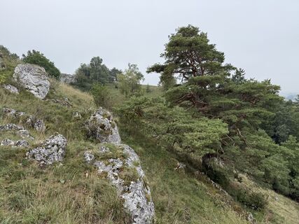 Foto de Norbert Herbig a lo largo del recorrido